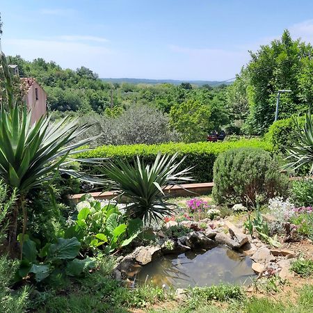 Apartment Tina Istra Buje Εξωτερικό φωτογραφία