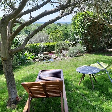 Apartment Tina Istra Buje Εξωτερικό φωτογραφία