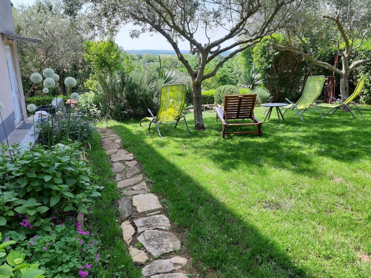 Apartment Tina Istra Buje Εξωτερικό φωτογραφία