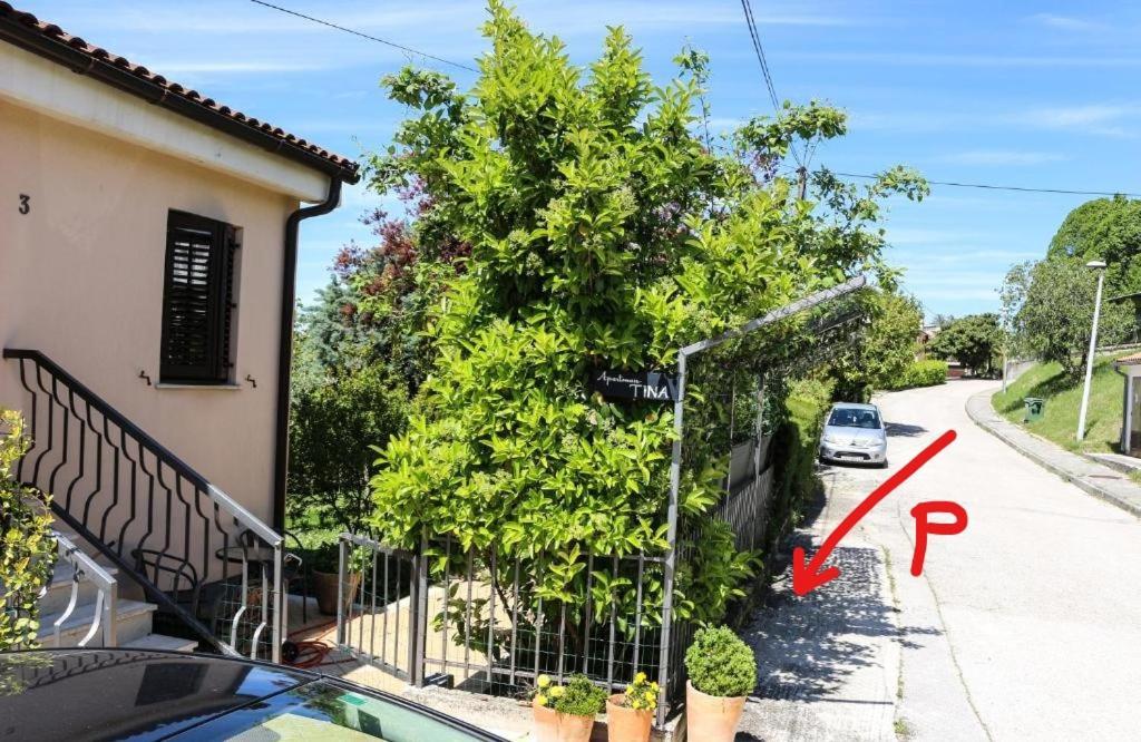 Apartment Tina Istra Buje Εξωτερικό φωτογραφία