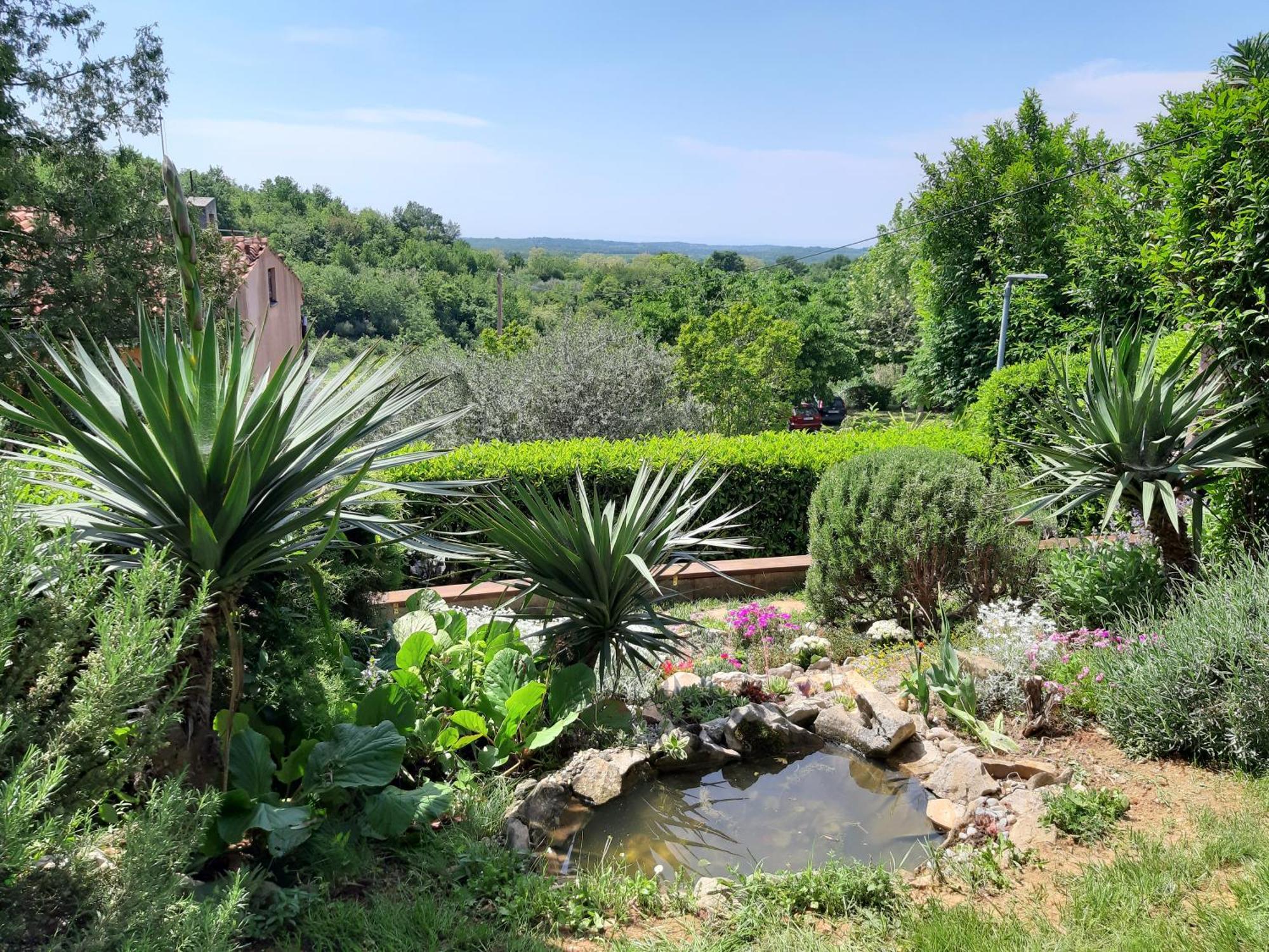 Apartment Tina Istra Buje Εξωτερικό φωτογραφία