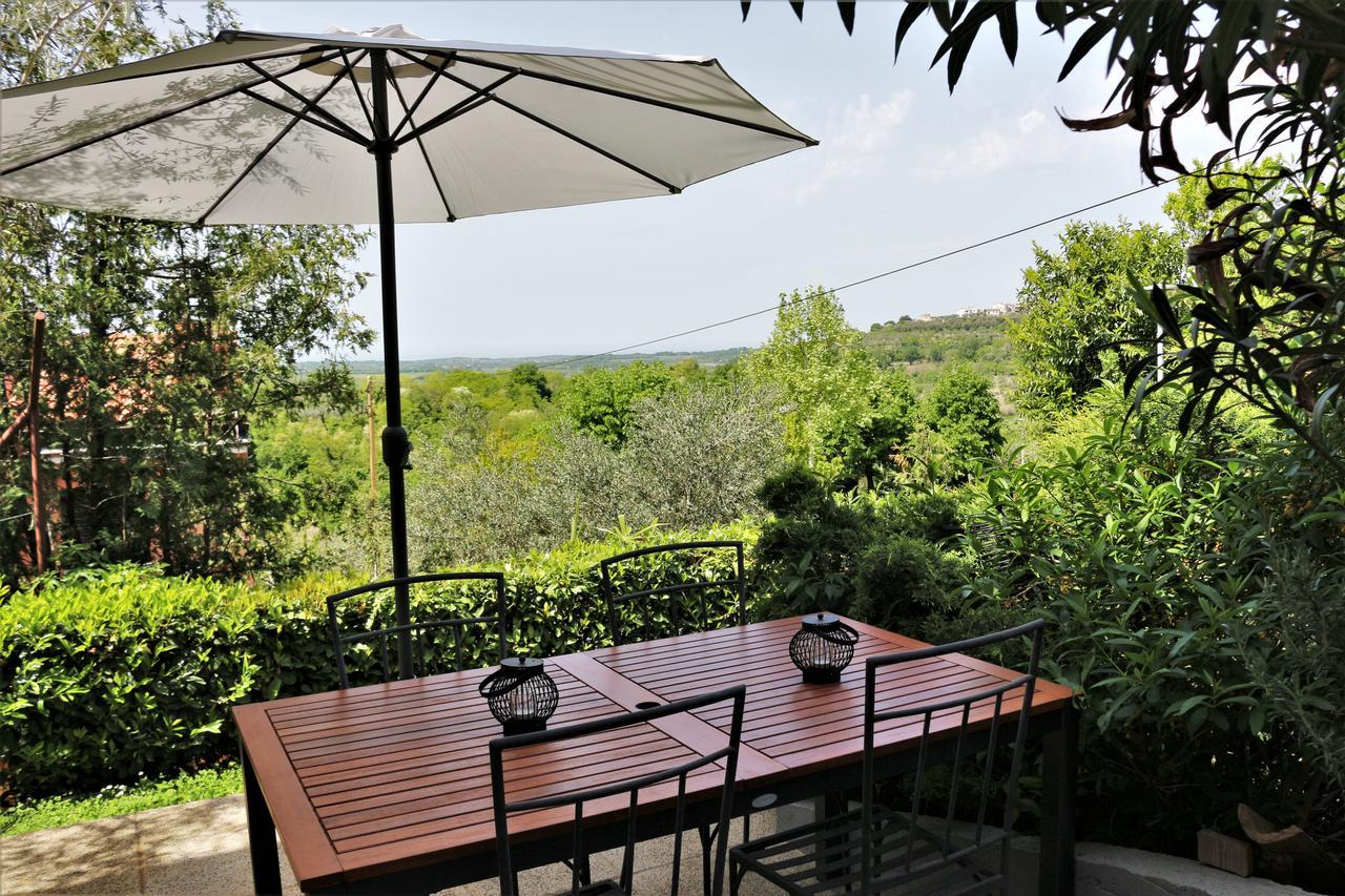 Apartment Tina Istra Buje Εξωτερικό φωτογραφία